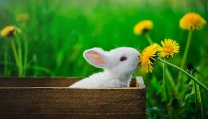 传奇手游打金微信提现版核心运作机制